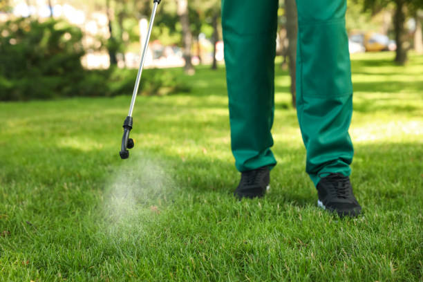 Professional Pest Control in Uvalde Estates, TX