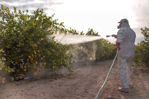 Best Commercial Pest Control Services  in Uvalde Estates, TX