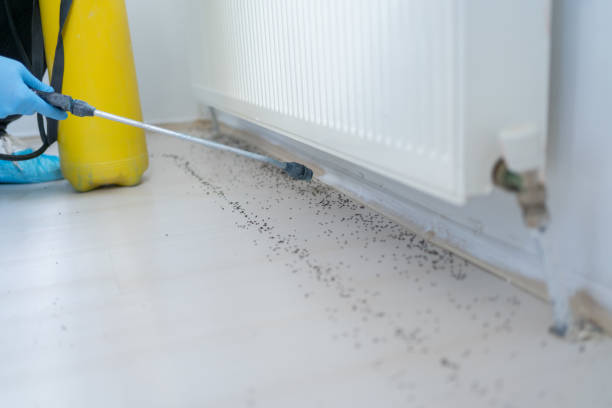 Best Exterminator Services  in Uvalde Estates, TX