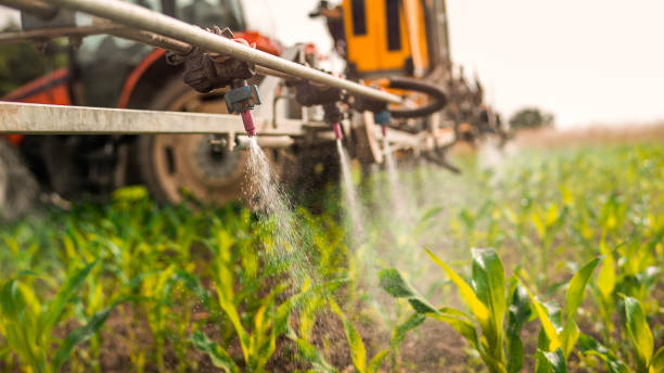 Best Insect Control  in Uvalde Estates, TX